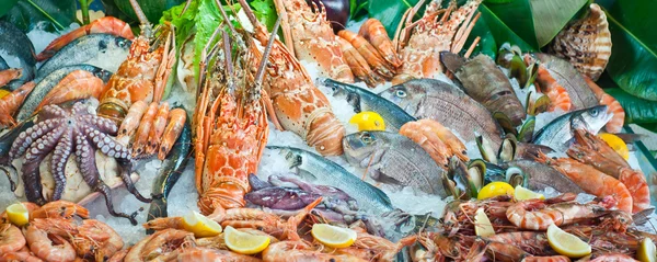 Arranjo de frutos do mar frescos — Fotografia de Stock