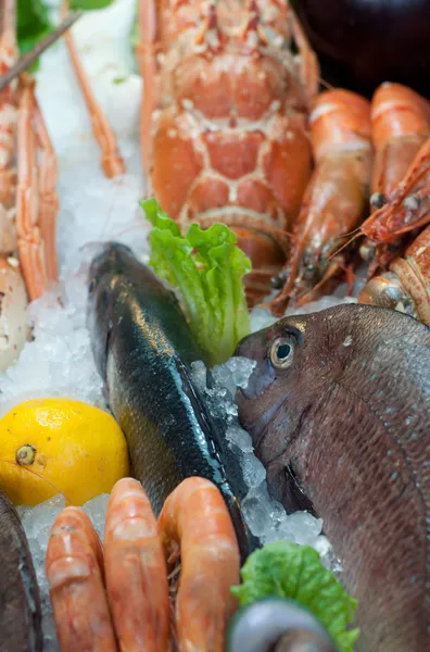 新鮮な魚介類 — ストック写真