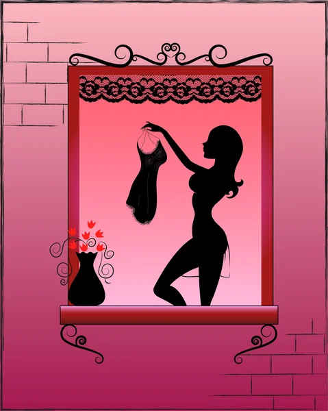 Femme dans une fenêtre — Image vectorielle
