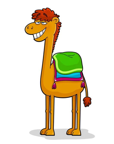 Drôle de chameau — Image vectorielle