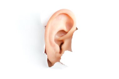 Woman ear clipart