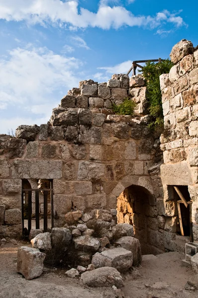 Ruines du chat Ajlun — Photo