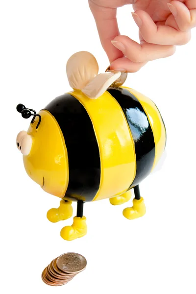 Bee moneybox — Stock Photo, Image