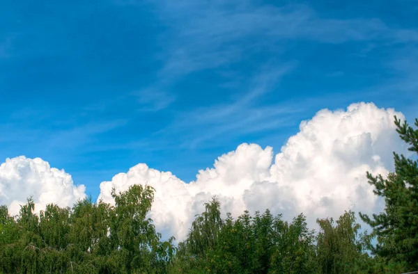 Cloud over forest — Stock Photo, Image