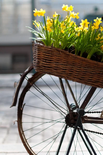 Vélo avec des fleurs — Photo