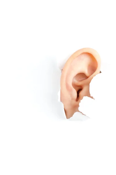 女性の耳 — ストック写真