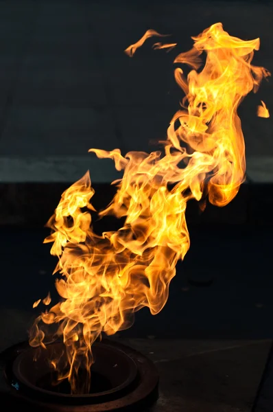 Вічний вогонь — стокове фото