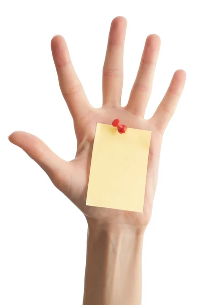 Female hand with blank note — Stock Photo, Image