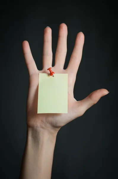 Female hand with blank note — Stock Photo, Image