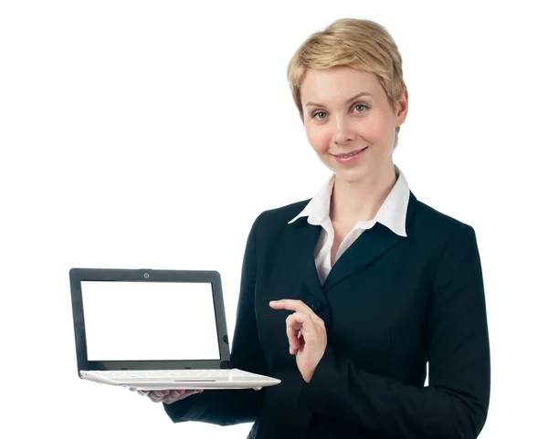 Femme d'affaires avec ordinateur portable Image En Vente