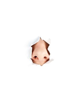 Woman nose on white clipart