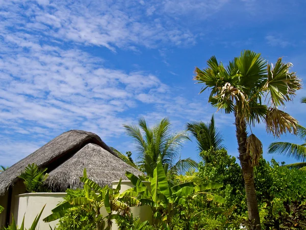 Maldiviska bungalow — Stockfoto