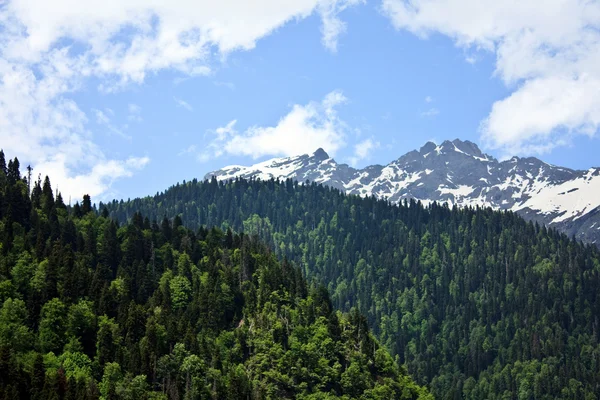 stock image Snowy mountain landscape