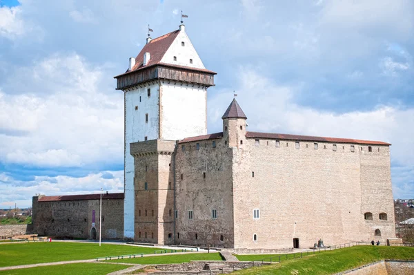 Burg Narva — Stockfoto