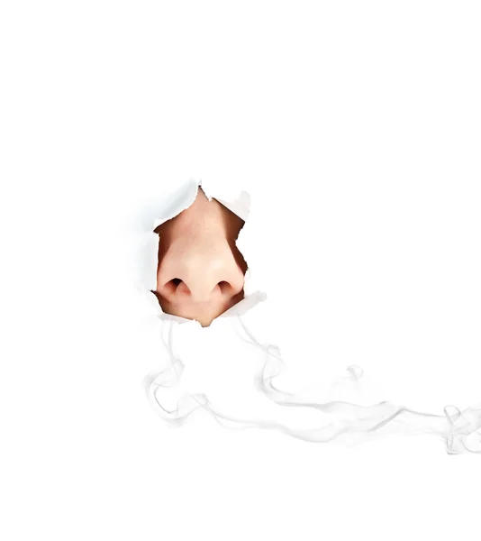 Женский нос на белом с дымом — стоковое фото