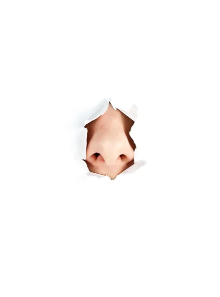 Vrouw neus op wit — Stockfoto