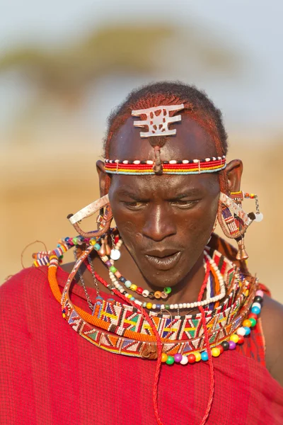 Portrait eines Stammesangehörigen kenya, afrika — Stockfoto