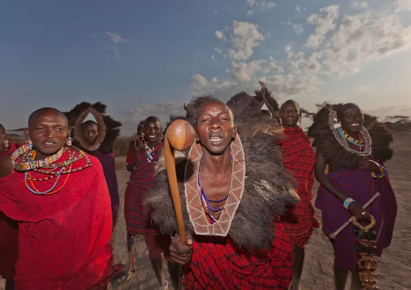 Masai krigare, kenya — Stockfoto