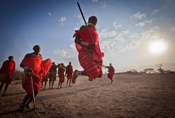 Masajští bojovníci, Keňa — Stock fotografie