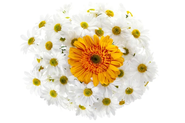 Close up tiro de buquê de flores — Fotografia de Stock