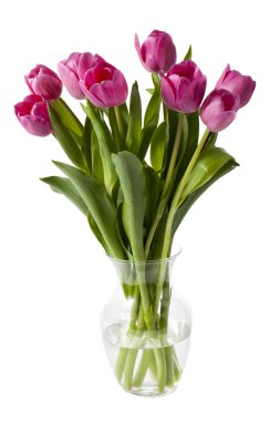 Pink tulips in a vase clipart