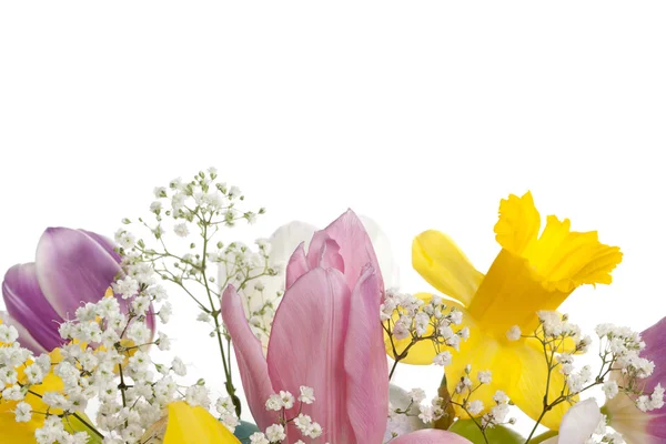Immagine ritagliata di un mazzo di fiori — Foto Stock