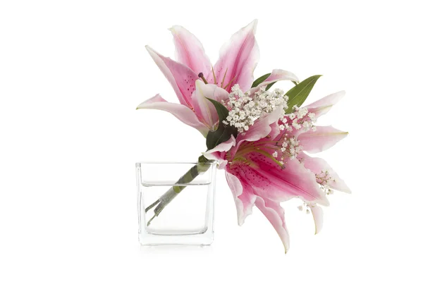 Stargazer flowers — Stock Photo, Image