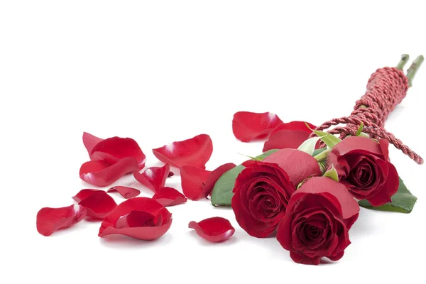 Drie rode rozen met rozenblaadjes — Stockfoto