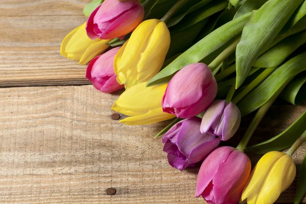 Желтые и розовые тюльпаны — стоковое фото