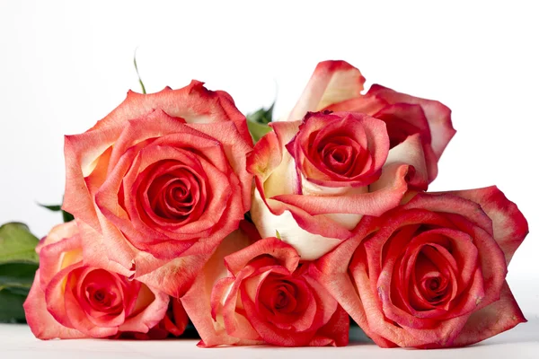 Pile of pink roses — Stock Photo, Image