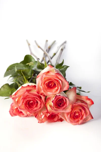 Rosa rosas amontoadas juntas — Fotografia de Stock