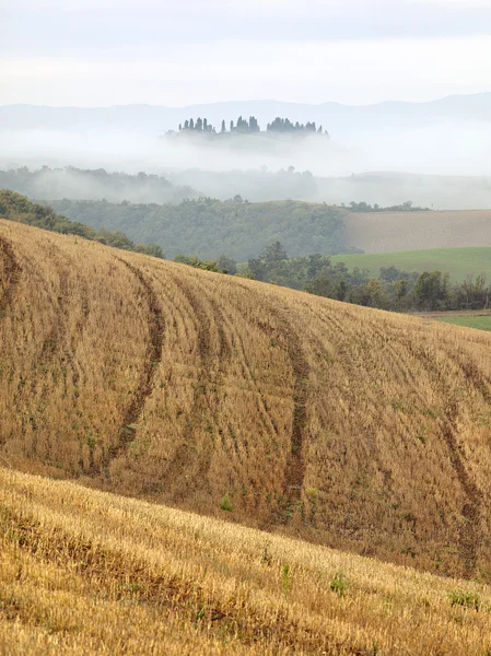 Tuscan alanları