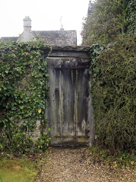 Üzüm ile ahşap kapı — Stok fotoğraf