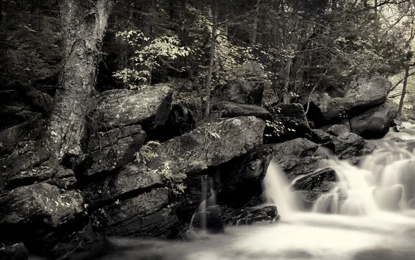 stock image Algonquin falls