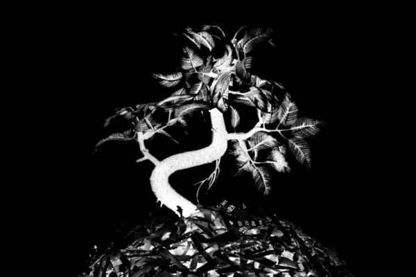 黒と白の植物 ストック画像