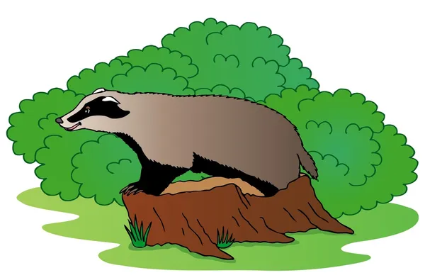 Badger bredvid bush Royaltyfria illustrationer