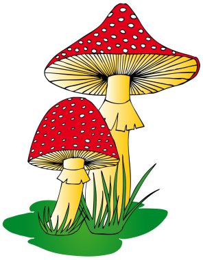 Toadstool in grass clipart