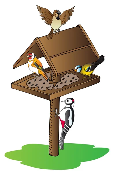 Uccelli sull'alimentatore — Vettoriale Stock
