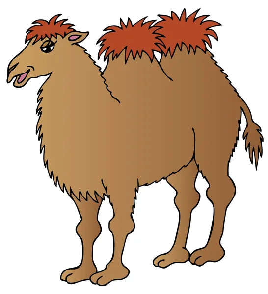 Camello marrón sobre fondo blanco — Vector de stock