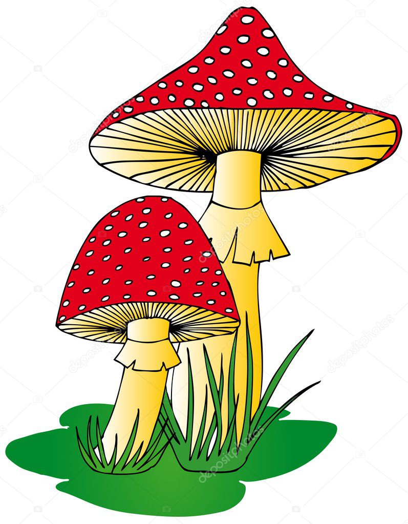 Toadstool in grass