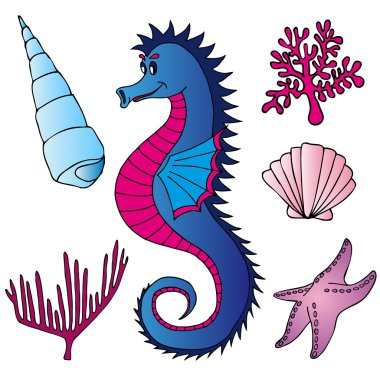 Seahorse shells and plants clipart