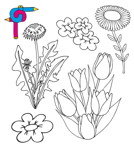 Coloring image flowers — Stock Vector