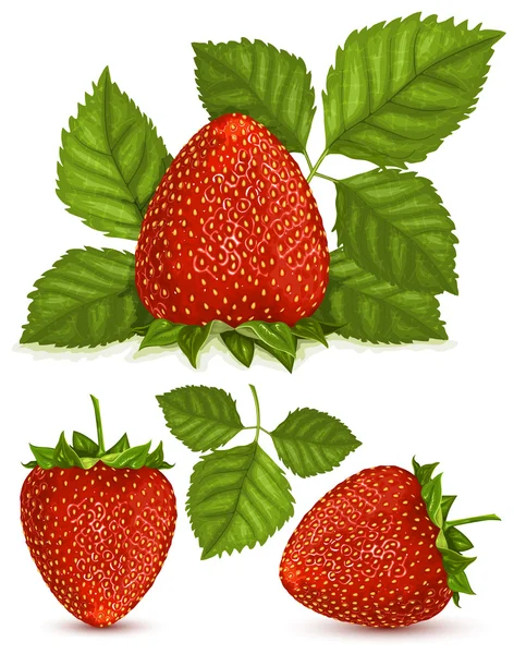 Φράουλες με φύλλα — Διανυσματικό Αρχείο