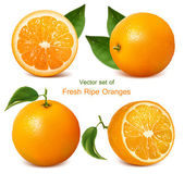pomeranče s listy