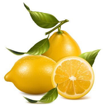 Fresh lemons with leaves. clipart