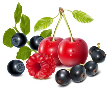 Photo-realistic vector of cherries, black currant, raspberry and blueberries with leaves. clipart