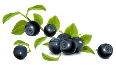 Bilberry yaprakları ile.