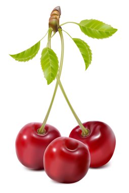 Cherry clipart