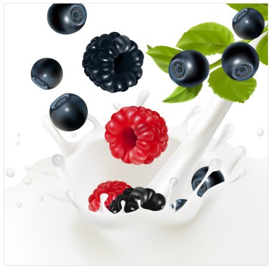 Ripe forest berries falling into the milky splash. clipart