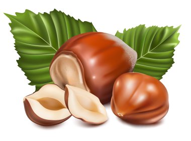 Hazelnuts with leaves. clipart